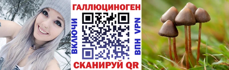где купить наркотик  Камень-на-Оби  Псилоцибиновые грибы мухоморы 
